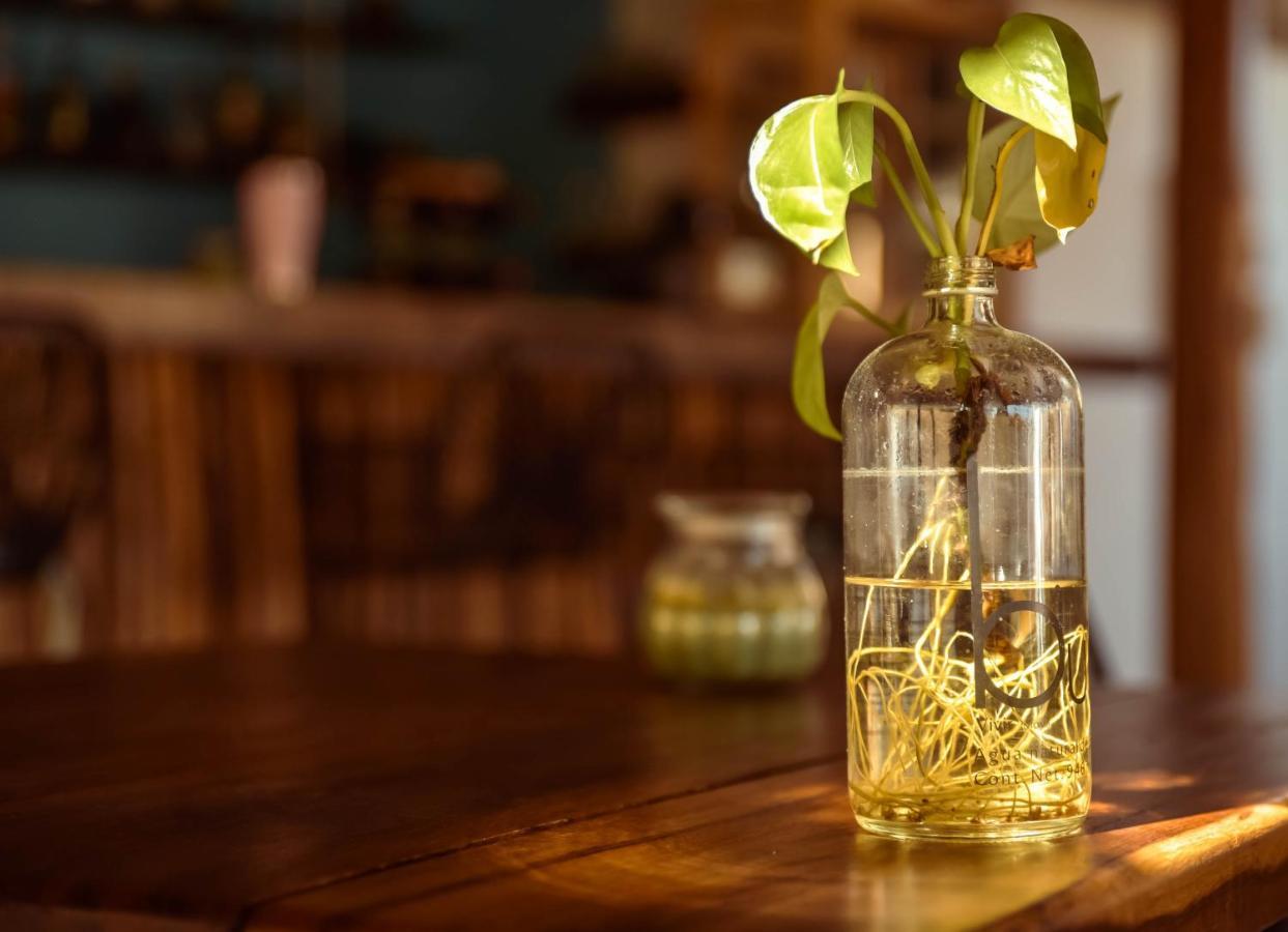 Hotel Y Beach Club Casa Mia Xulha -Bacalar Xul-Ha エクステリア 写真